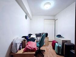 Parc Palais (D21), Condominium #502007201